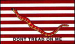 First Navy Jack Historical Flag