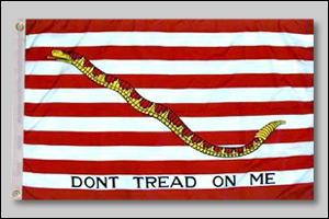 First Navy Jack Flag