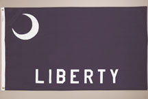 Fourt Moultrie Flag