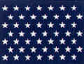 49 star.jpg (13114 bytes)