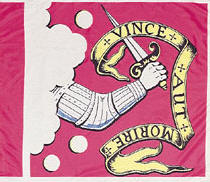 Bedford Historical Flag