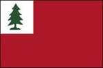 Continental Historical Flag