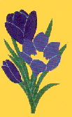 Crocus appliqued banner