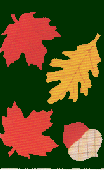 Fall Leaves appliqued banner