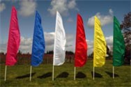 Wonder poles with solid color feather flags