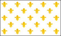 Fleur De Lis - 23 Historical Flag