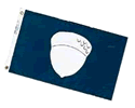 Treasurer's Flag