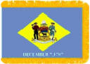 Delaware Indoor flag with fringe